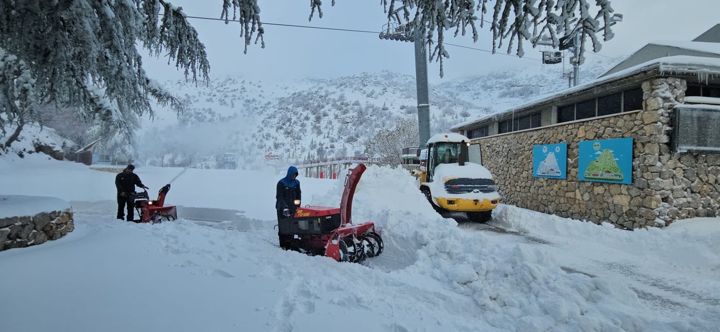 החרמון, הבוקר