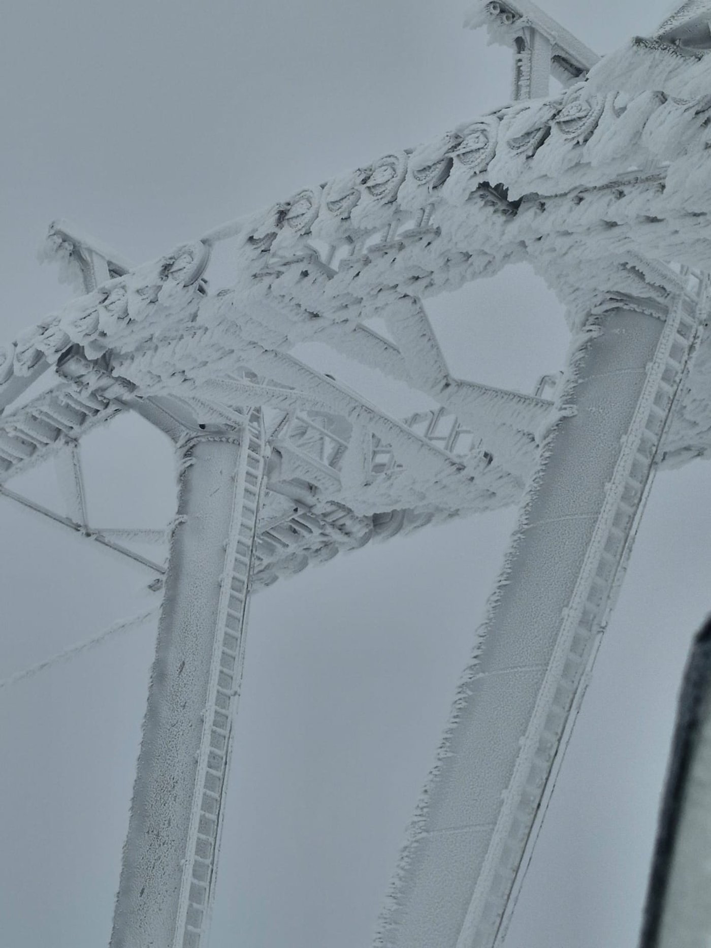 החרמון, הבוקר