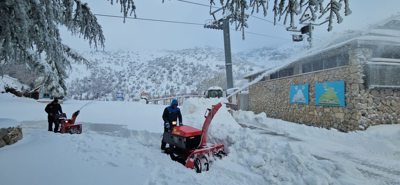 החרמון, הבוקר