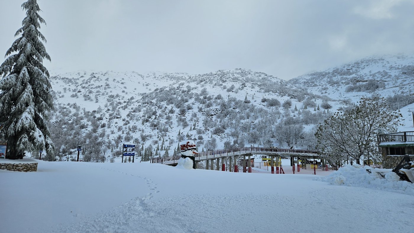 החרמון, הבוקר
