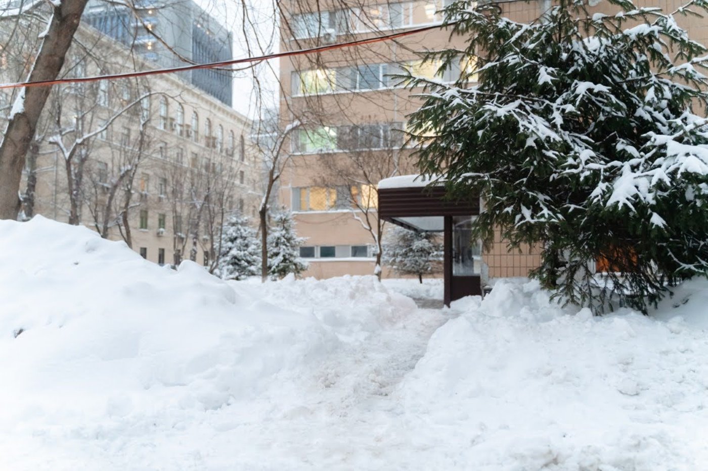 חורף ברוסיה 2026