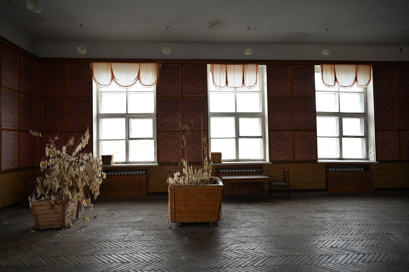 ביקור באי הנטוש 'איי פרמידן'