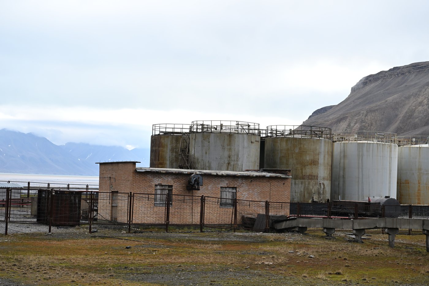ביקור באי הנטוש 'איי פרמידן'