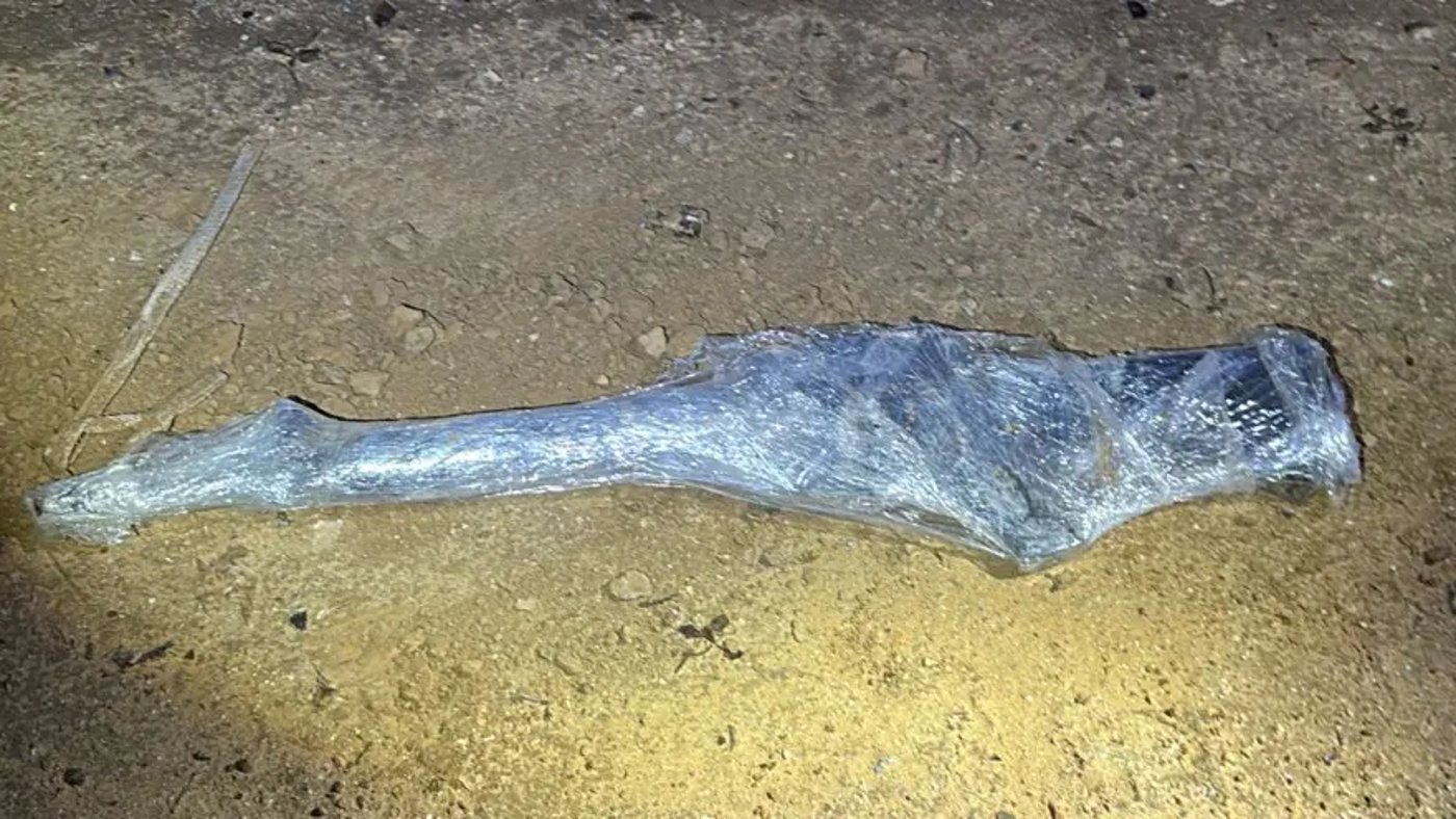 הנשק שנתפס במרדף