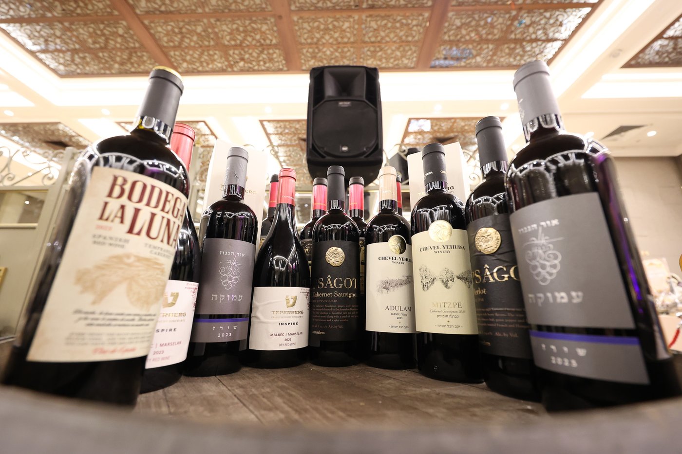 הכנסת ס"ת בויז'ניץ אלעד