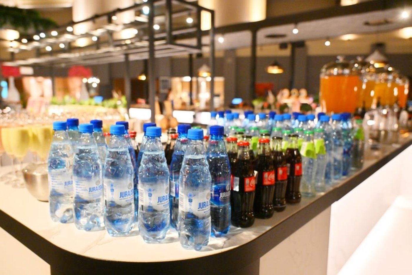 מסע הקודש של האדמו"ר מאלכסנדר לפולין