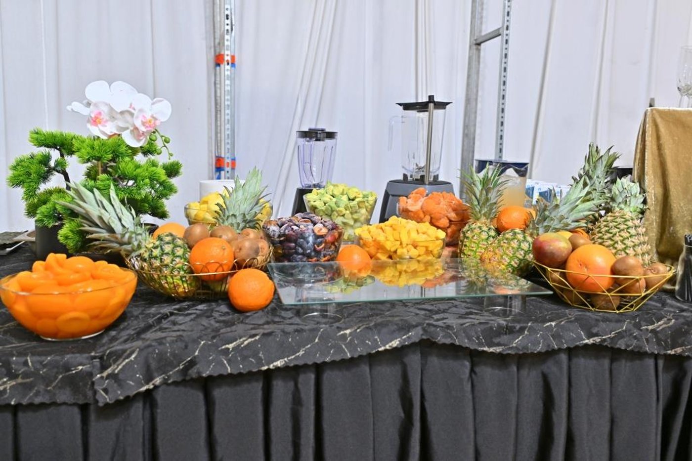 מסע הקודש של האדמו"ר מאלכסנדר לפולין