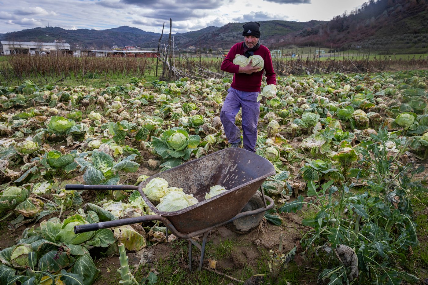 התחזית: היום ומחר - התחממות, הגשמים צפויים לחזור ביום רביעי