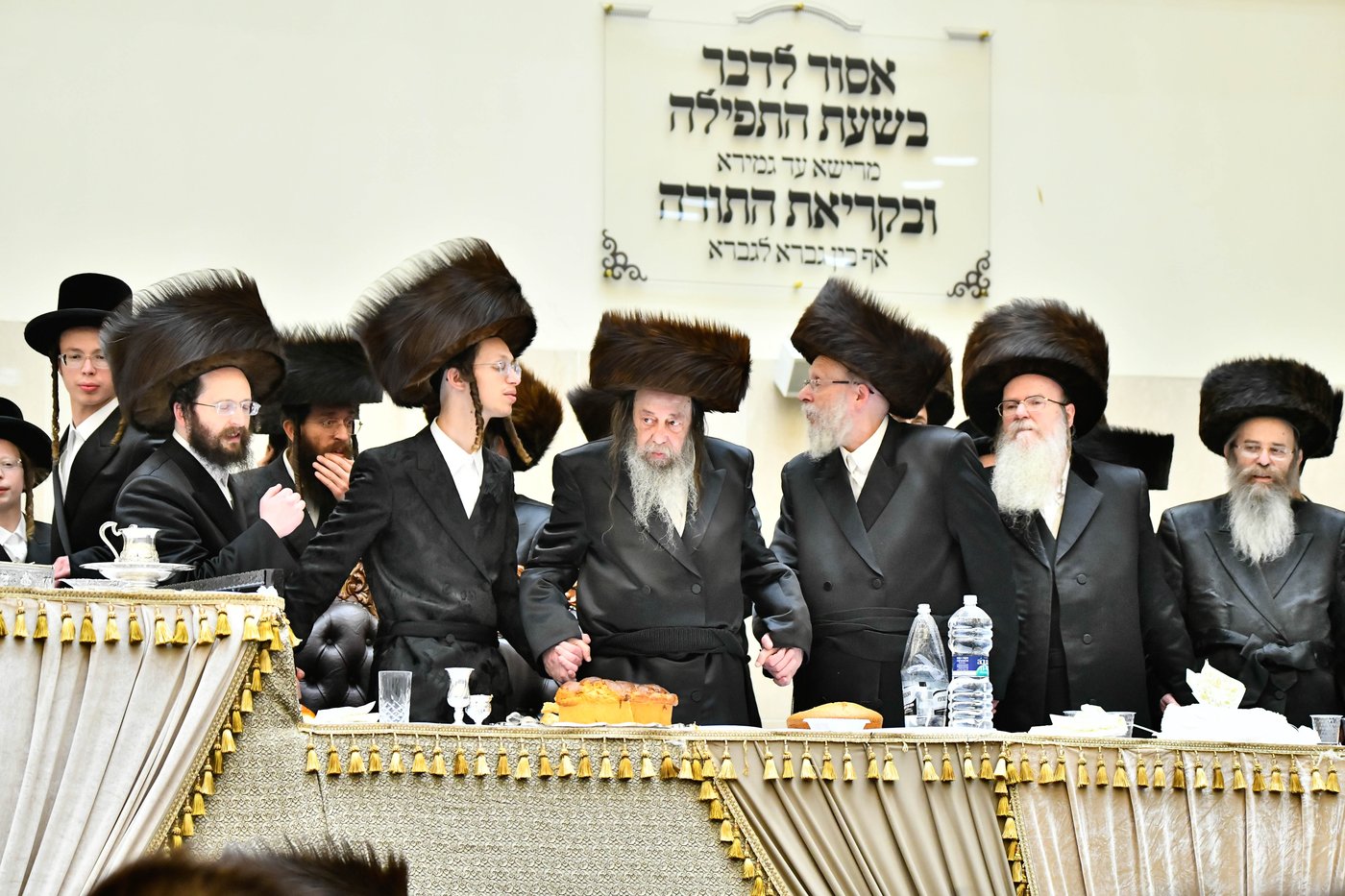 שמחת בית ויז'ניץ