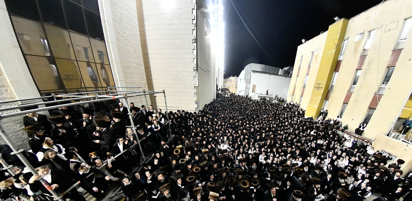 שמחת בית ויז'ניץ