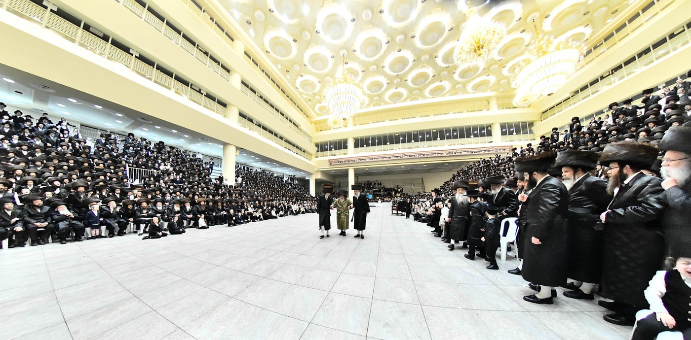 שמחת בית ויז'ניץ