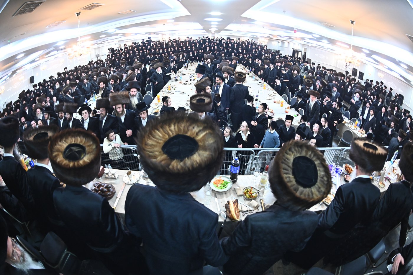 שמחת בית סטריקוב - מאור החיים