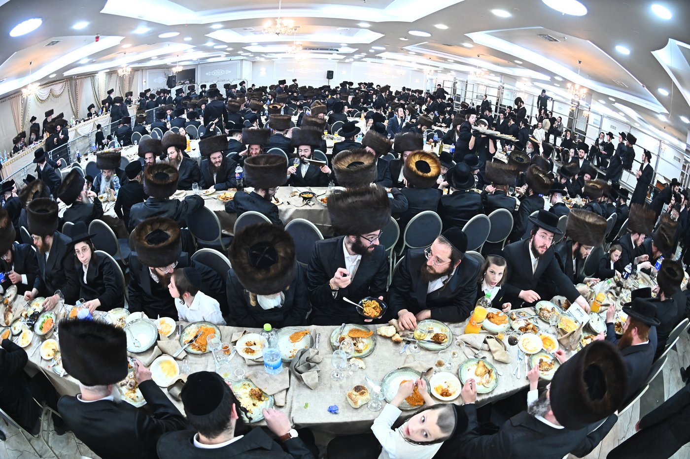 שמחת בית סטריקוב - מאור החיים