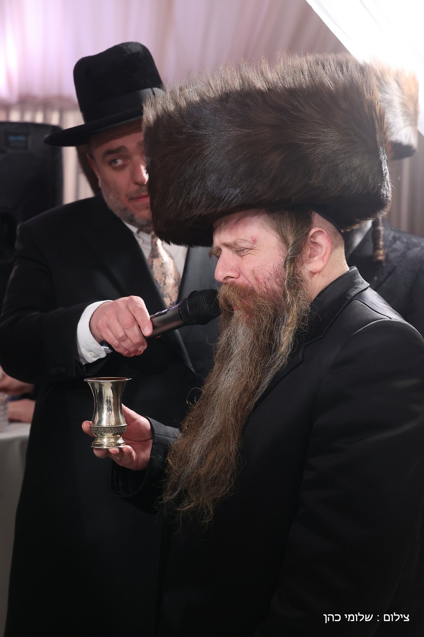 החתונה של רפי פרלשטיין