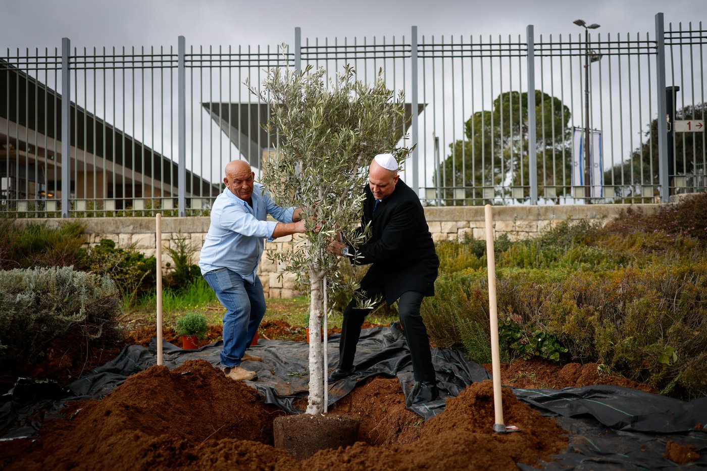 יו"ר הכנסת בנטיעות ט"ו בשבט