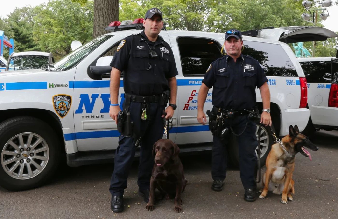 שוטרים אמריקנים. אילוסטרציה 