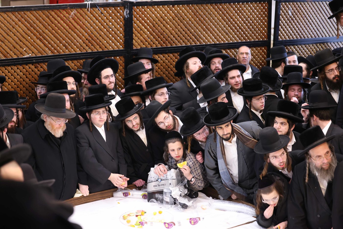 האדמו"ר מקרעטשניף כפר אתא בטיש ט"ו בשבט