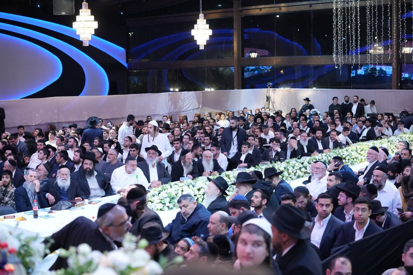 הינוקא בט"ו בשבט