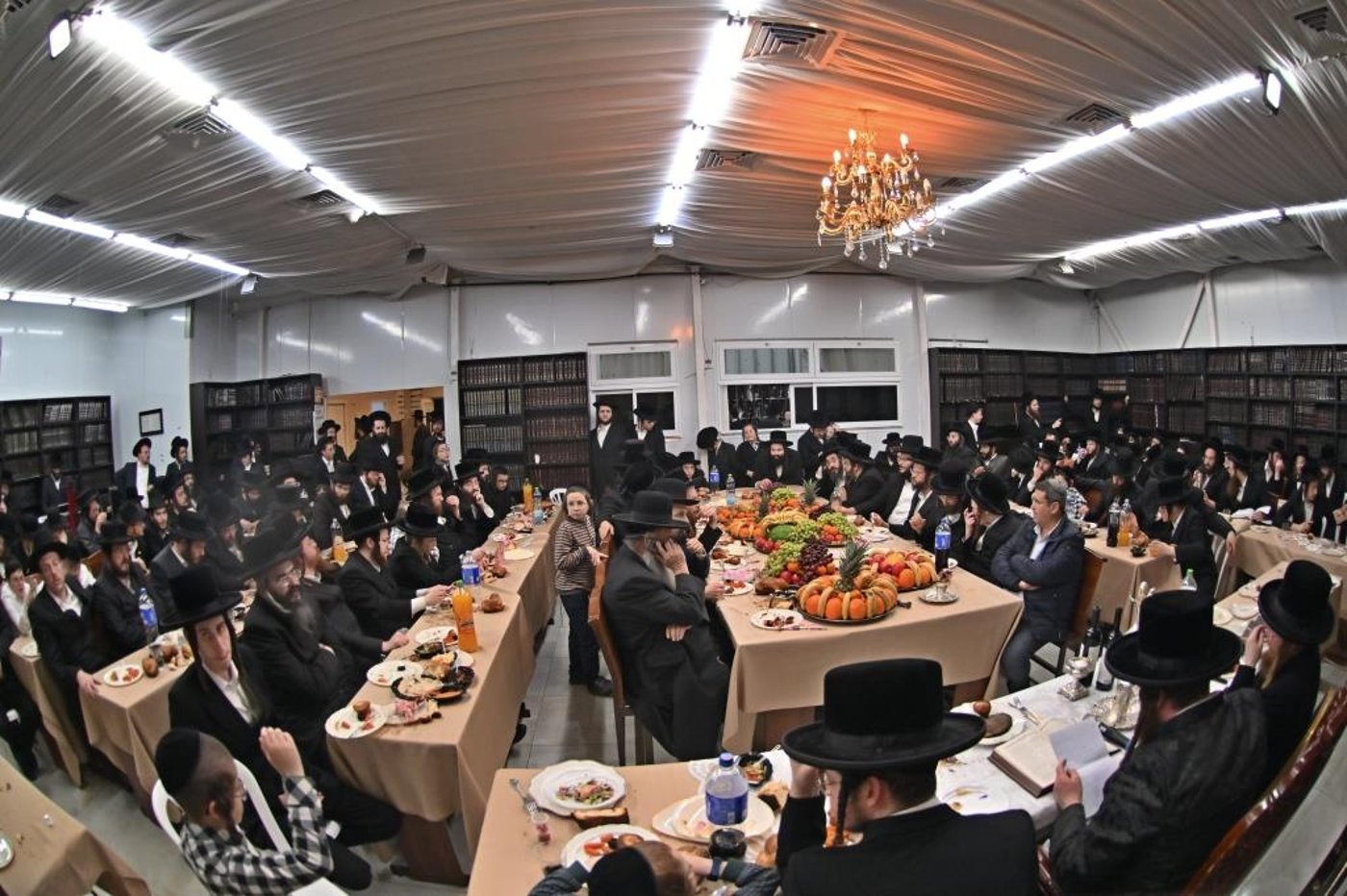 ט"ו בשבט בחצה"ק ספינקא בית שמש