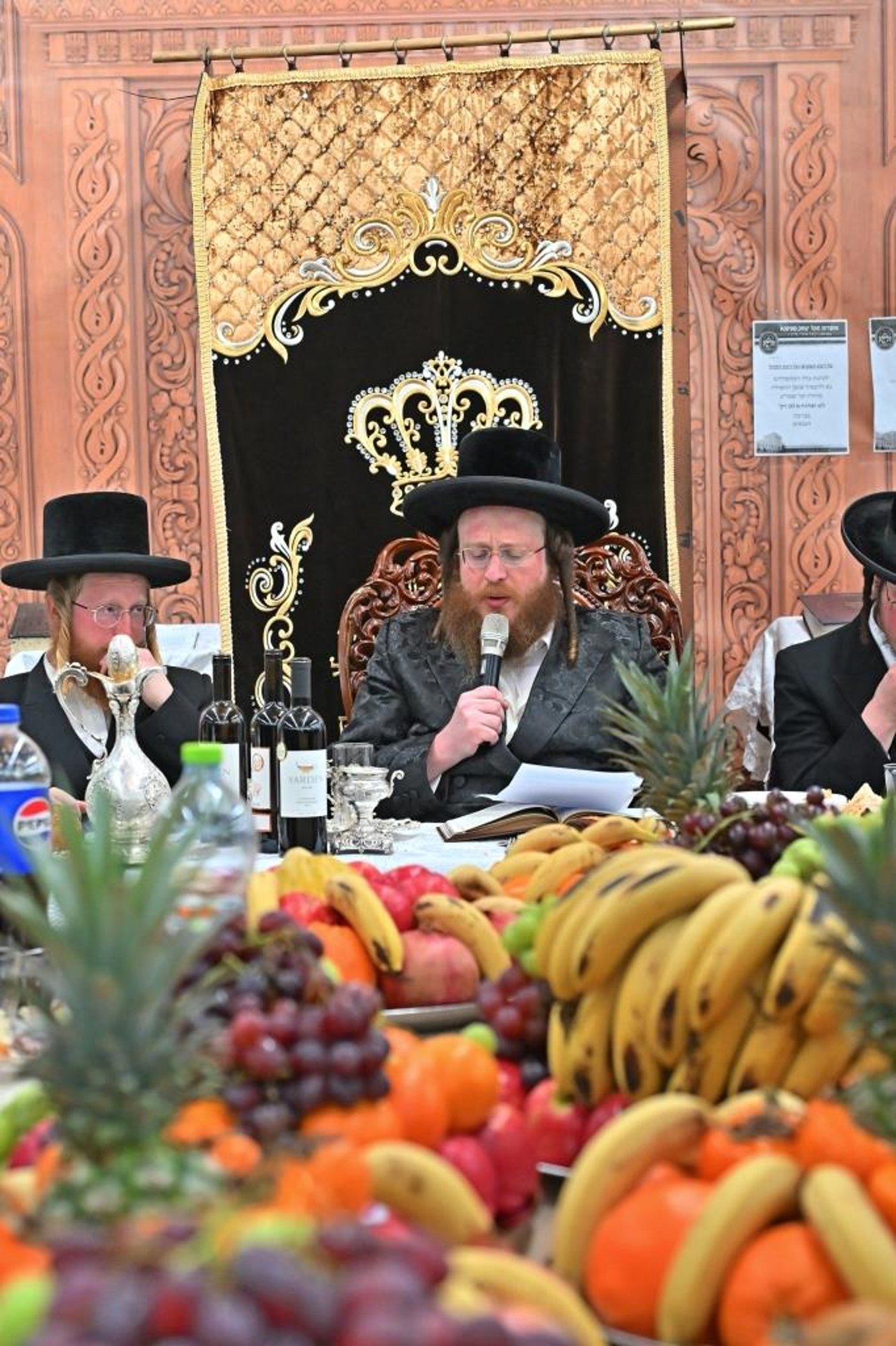 ט"ו בשבט בחצה"ק ספינקא בית שמש