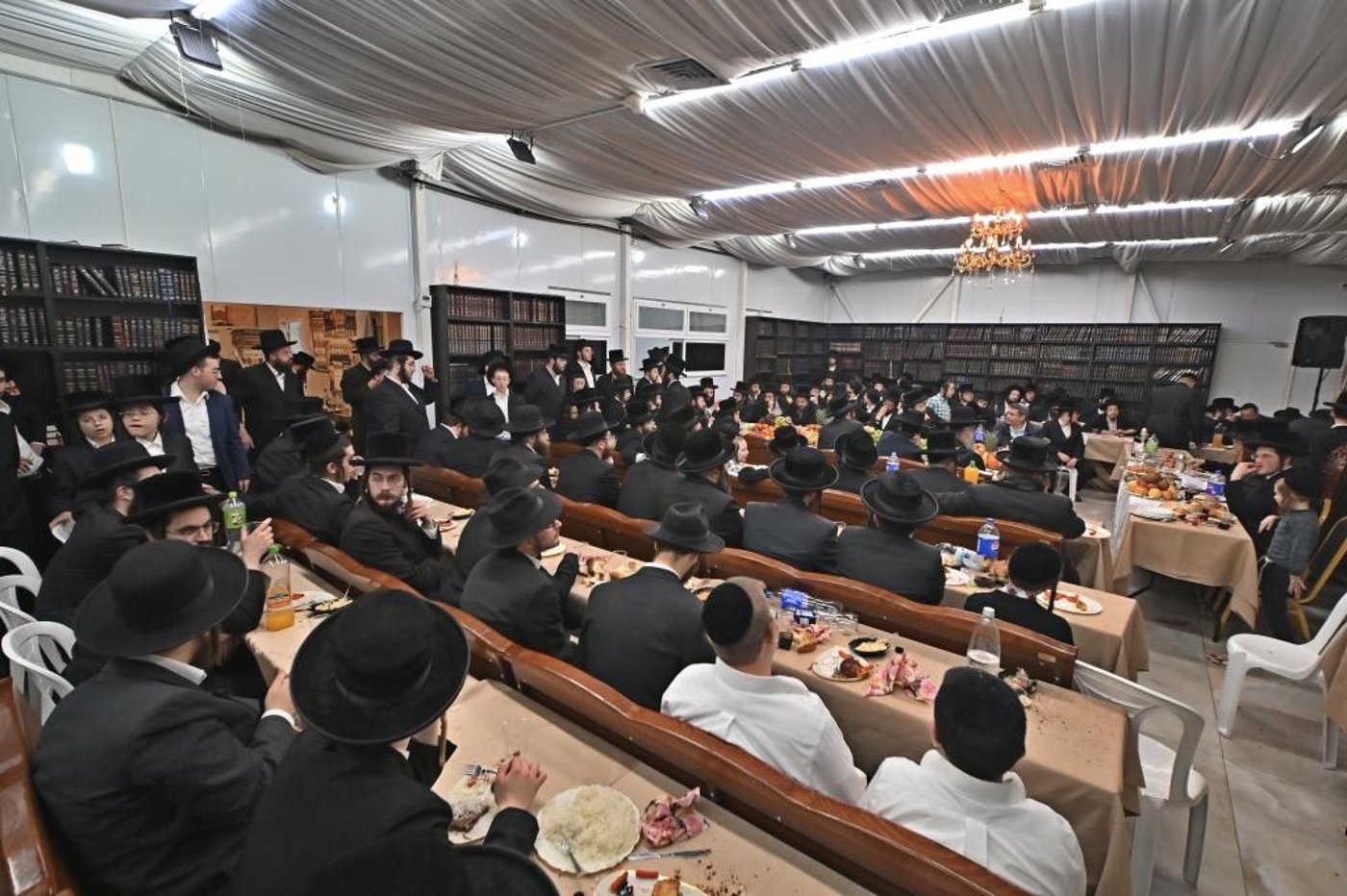 ט"ו בשבט בחצה"ק ספינקא בית שמש