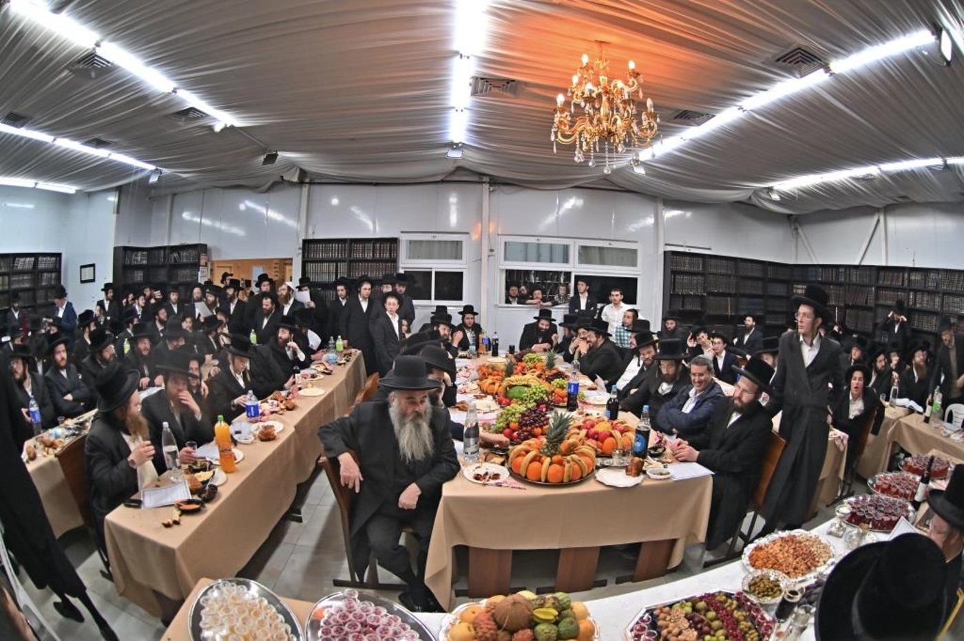 ט"ו בשבט בחצה"ק ספינקא בית שמש