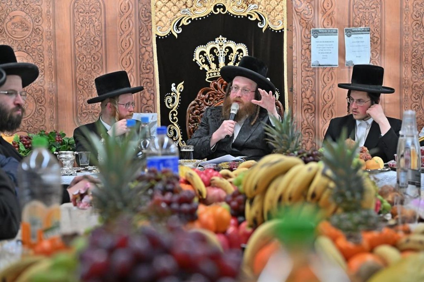 ט"ו בשבט בחצה"ק ספינקא בית שמש