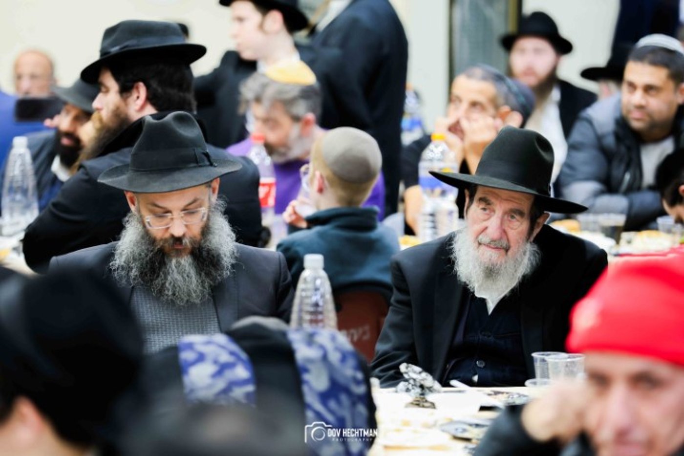 הרבנים הציגו אחדות: מעמד סיום הרמב"ם עם קהל המונים ברחובות