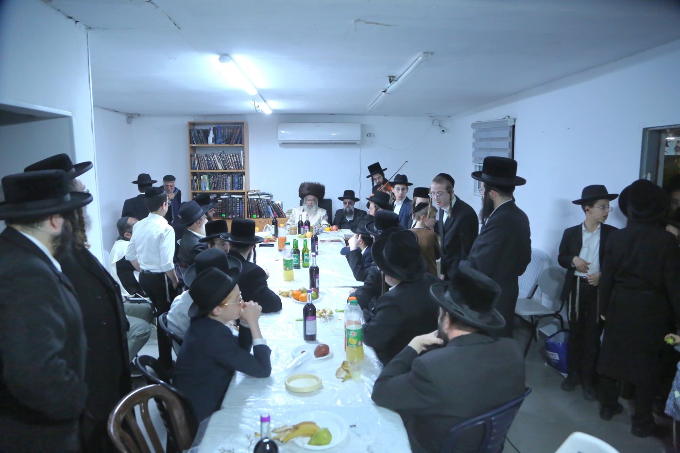 ט"ו בשבט בטורקא