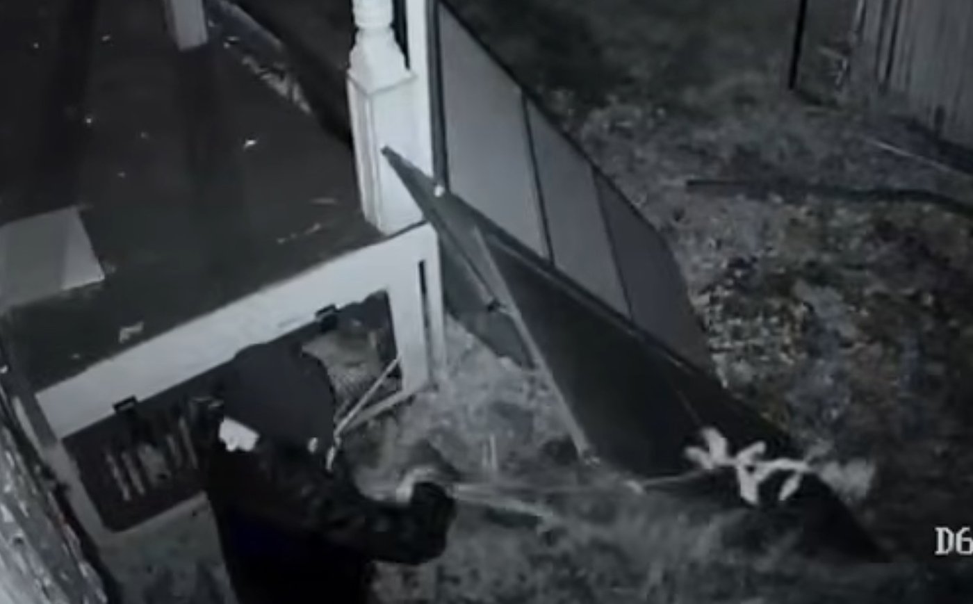 אוסף עצים מחוץ למבנה