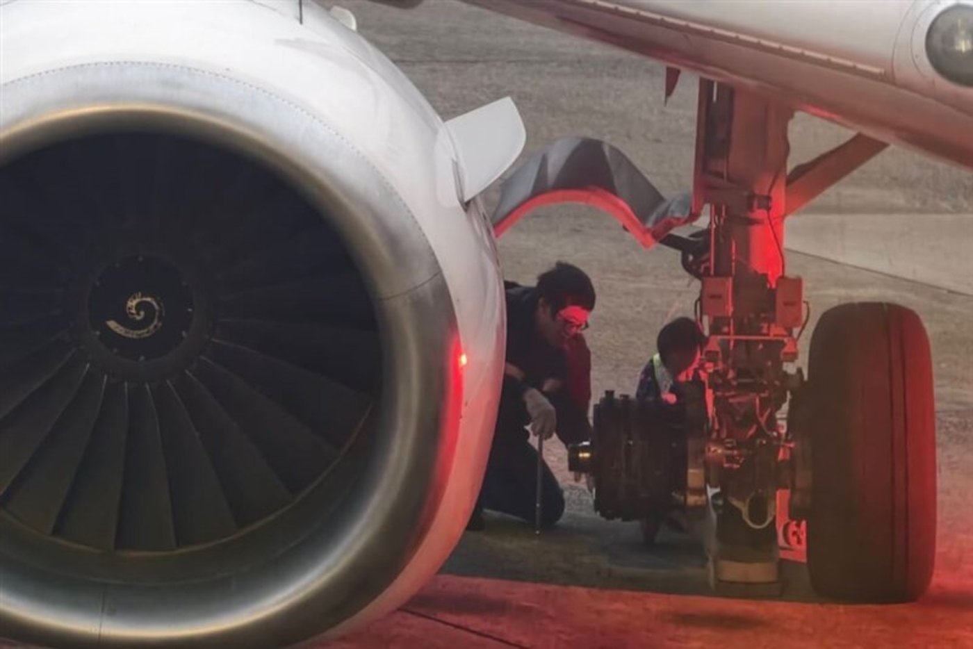 הגלגל יצא לטיול