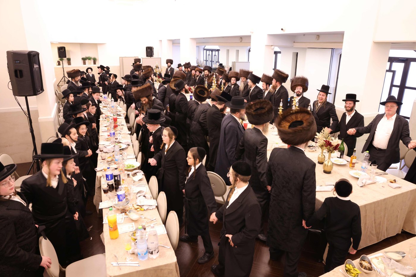 הכנסת ספר תורה לחכמת שלמה