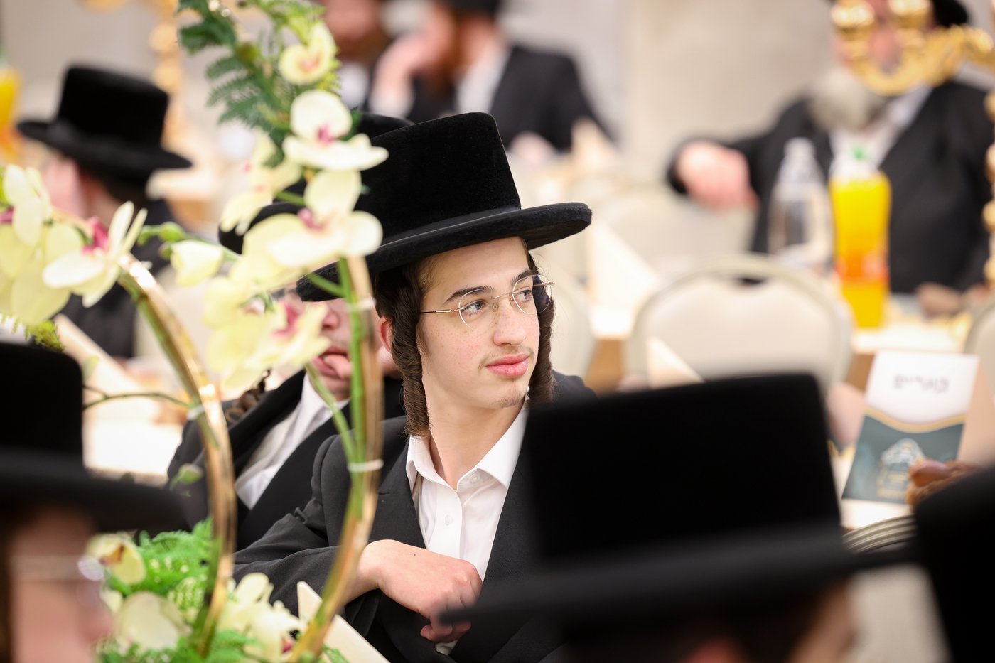 מעמד כבוד התורה בביאלה בני ברק