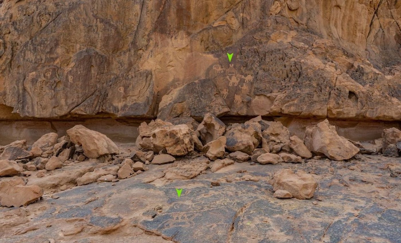 הציורים שנחשפו 