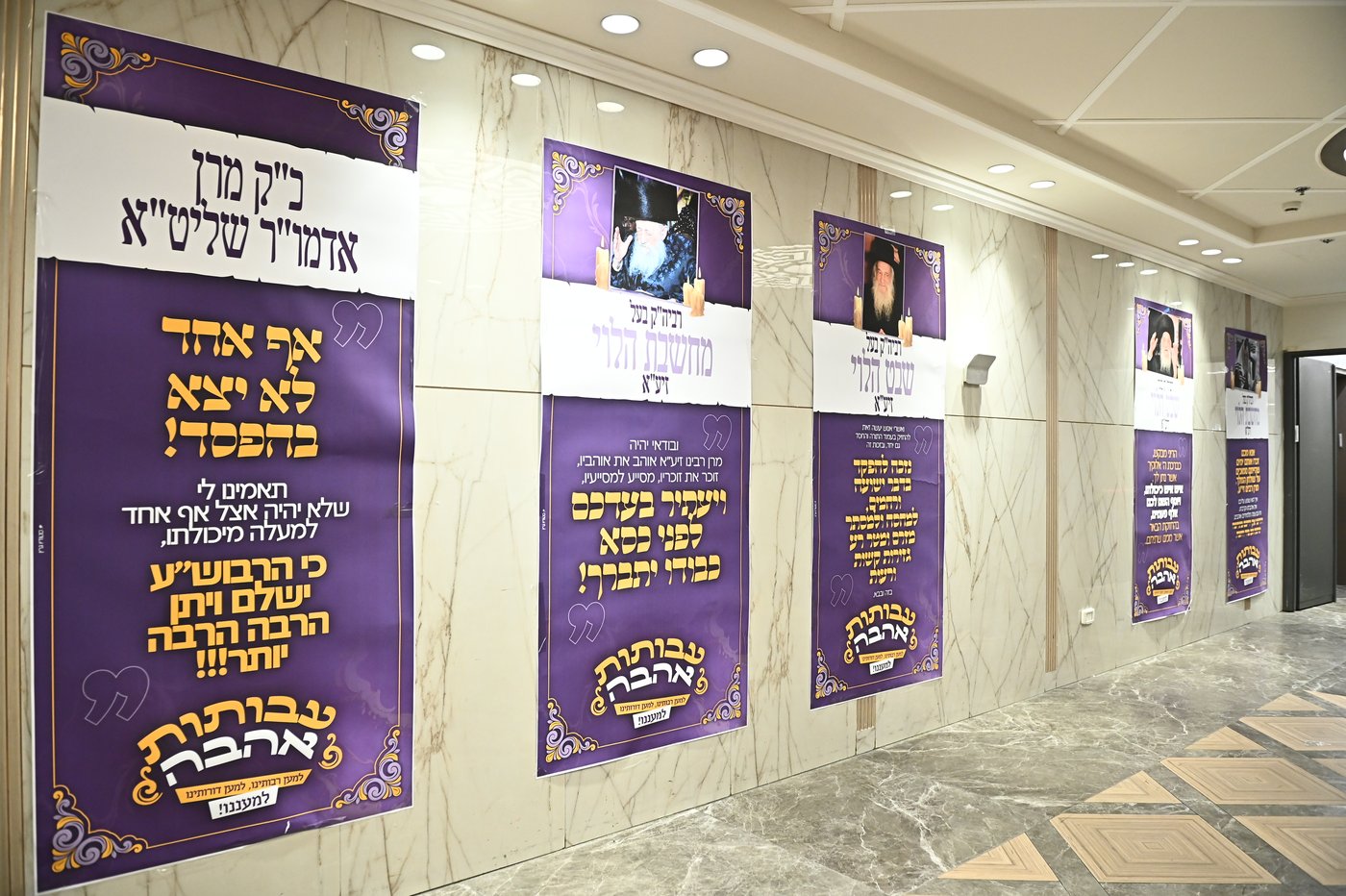 הילולא קדישא בשבט הלוי