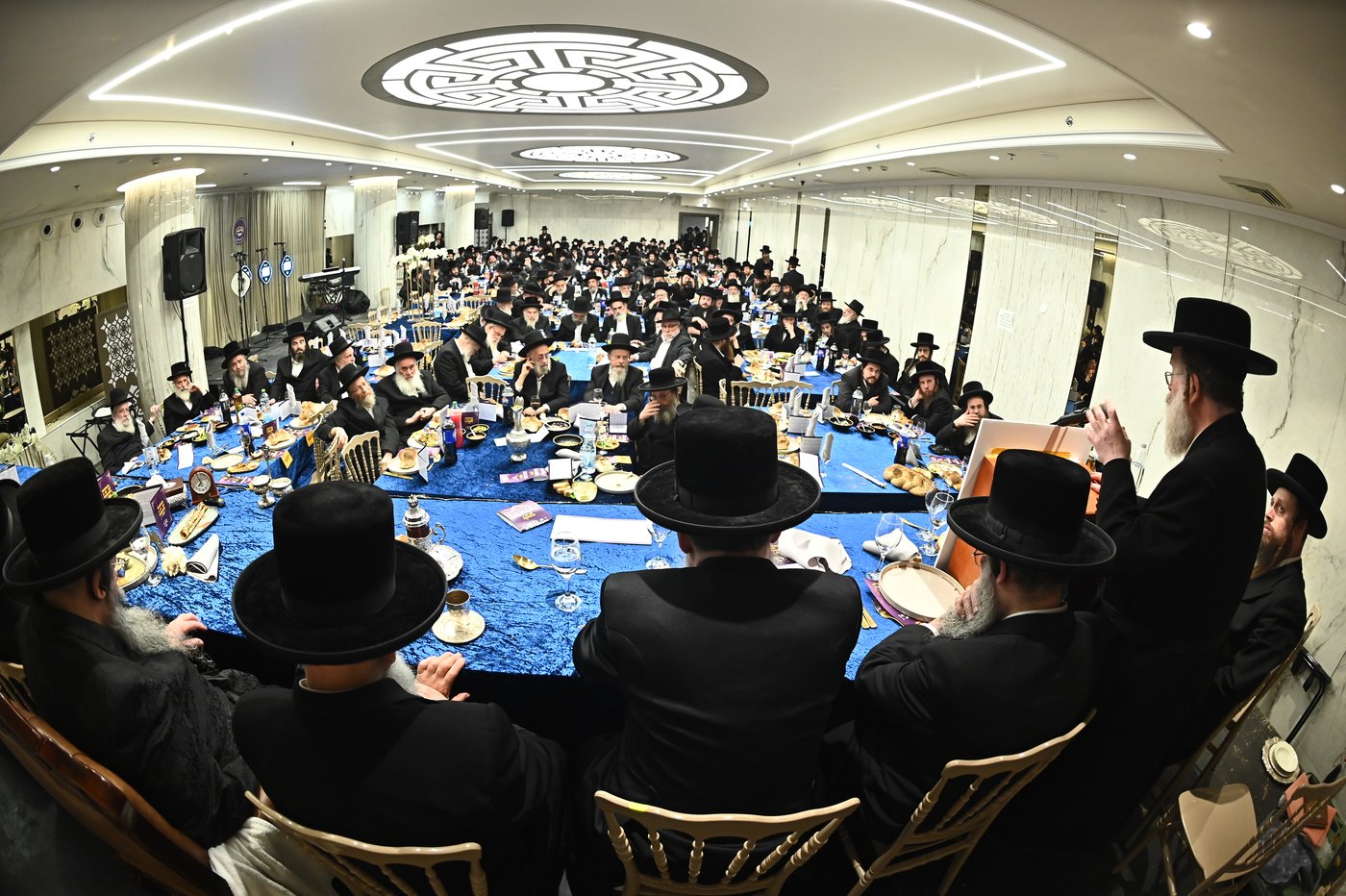 הילולא קדישא בשבט הלוי