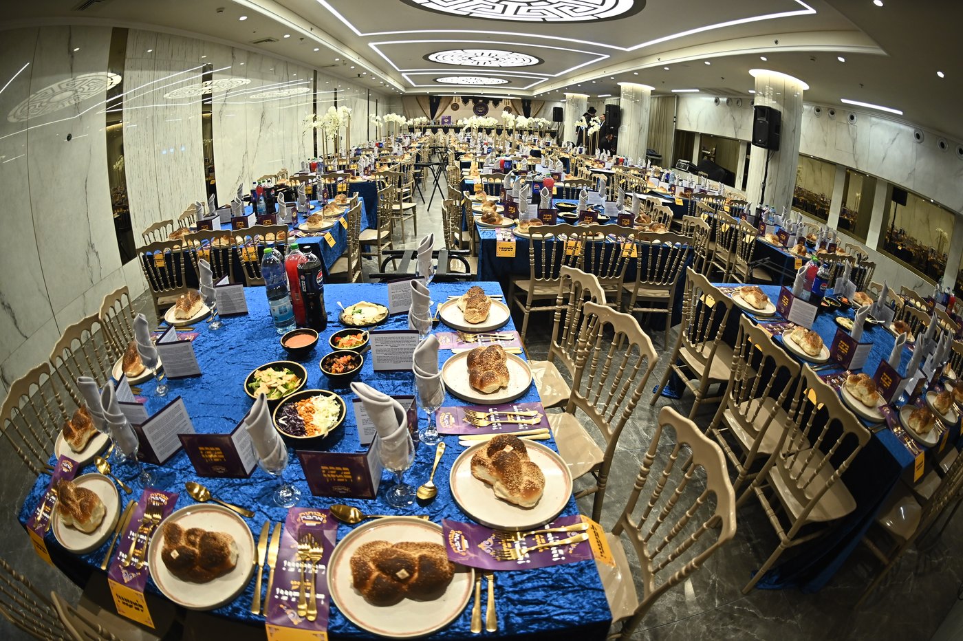 הילולא קדישא בשבט הלוי