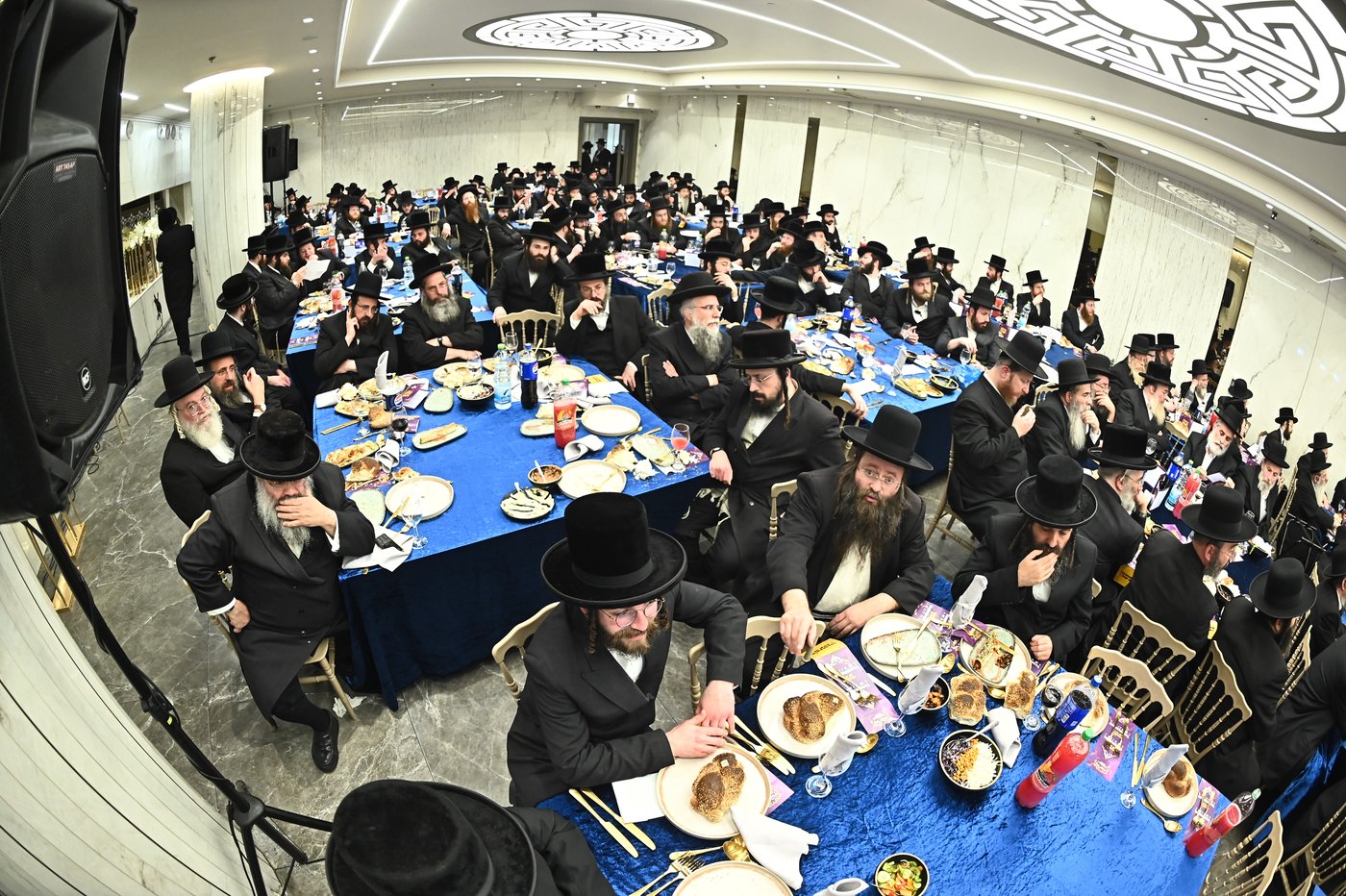 הילולא קדישא בשבט הלוי