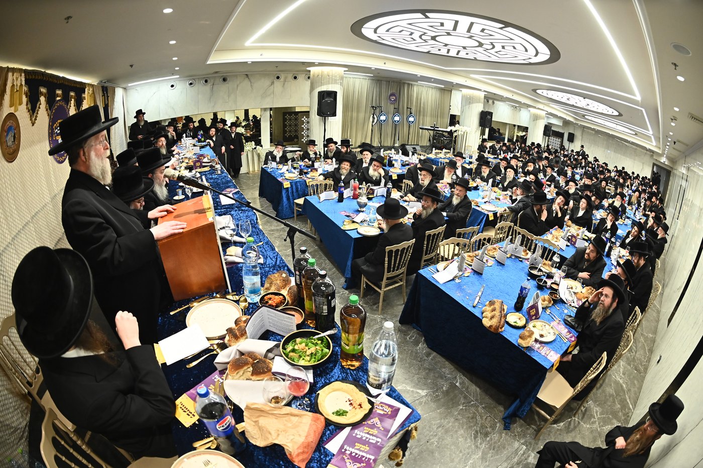 הילולא קדישא בשבט הלוי