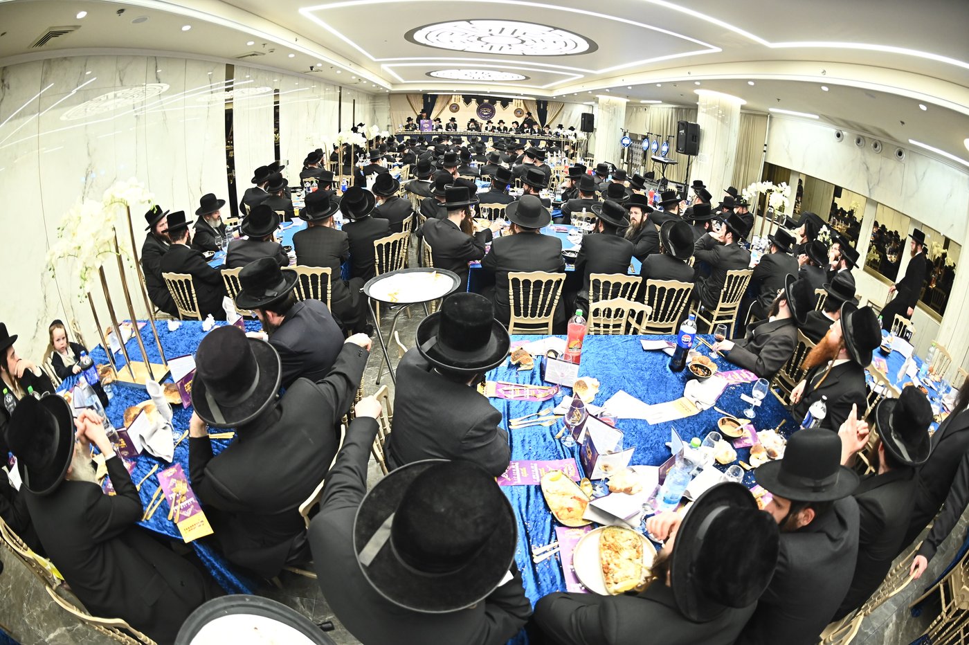 הילולא קדישא בשבט הלוי