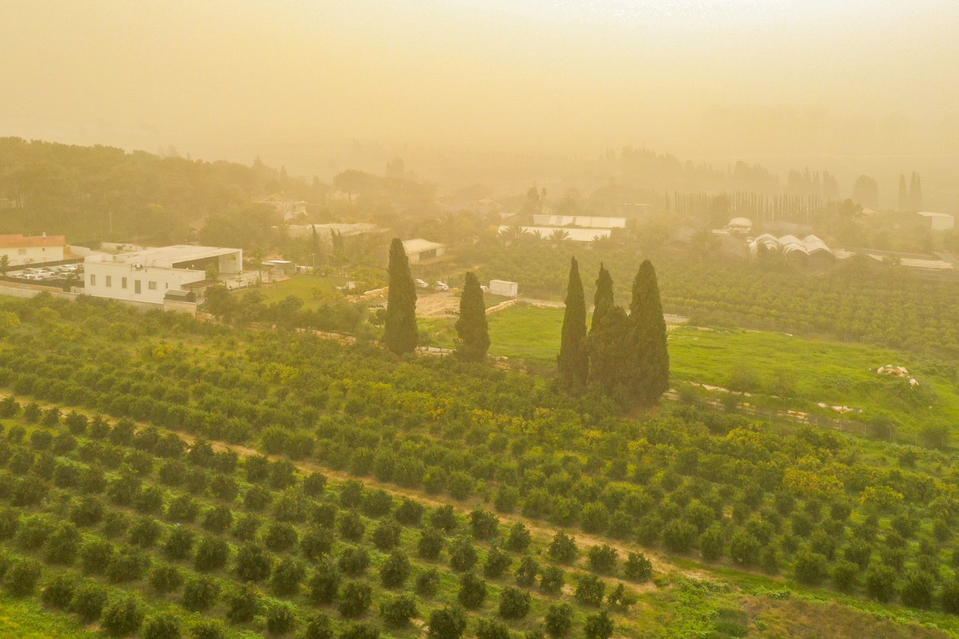 רמת השרון, השבוע