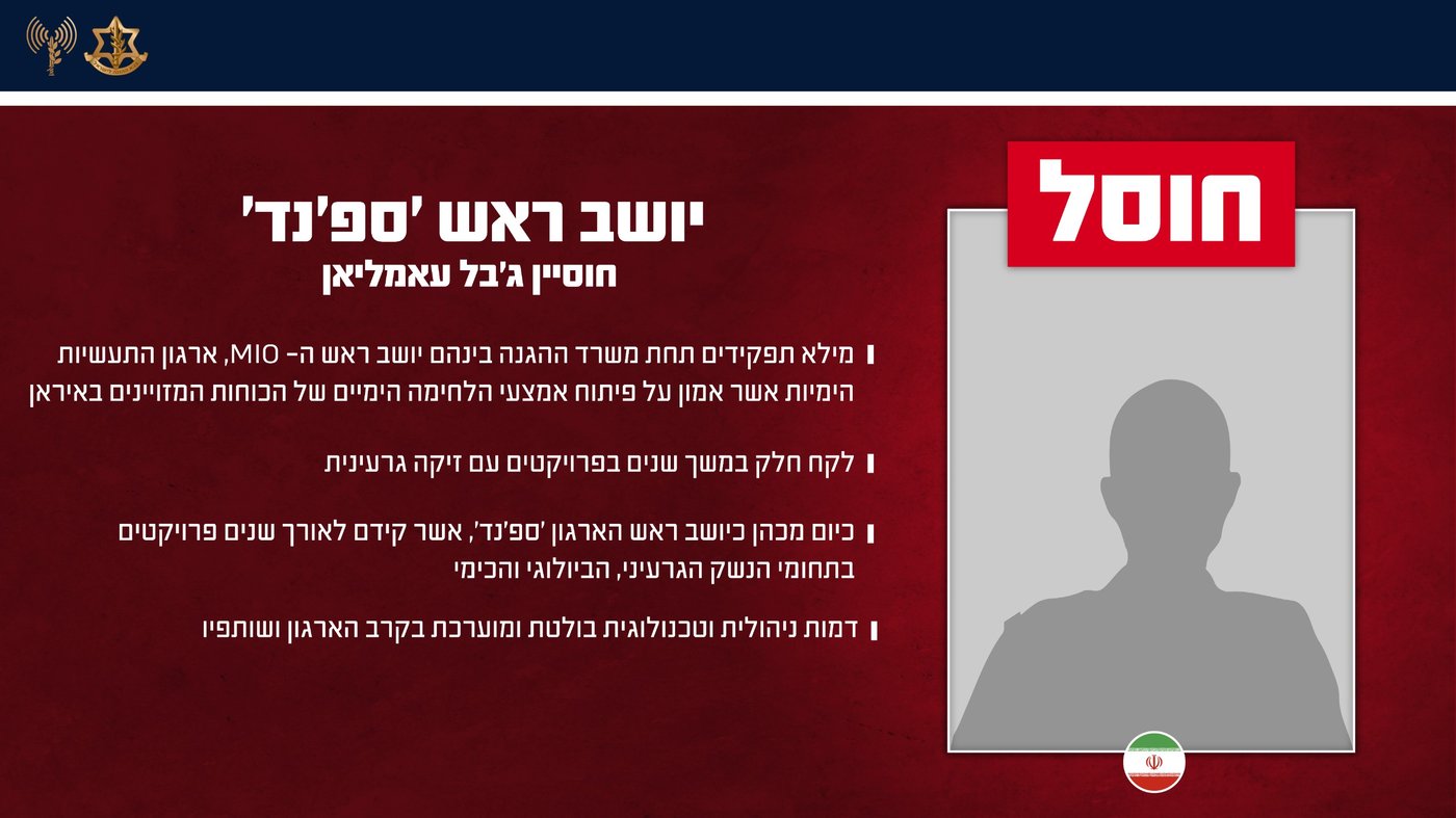 דובר צה"ל: חיסלנו את בכירי משטר הטרור האיראני | הרשימה המלאה