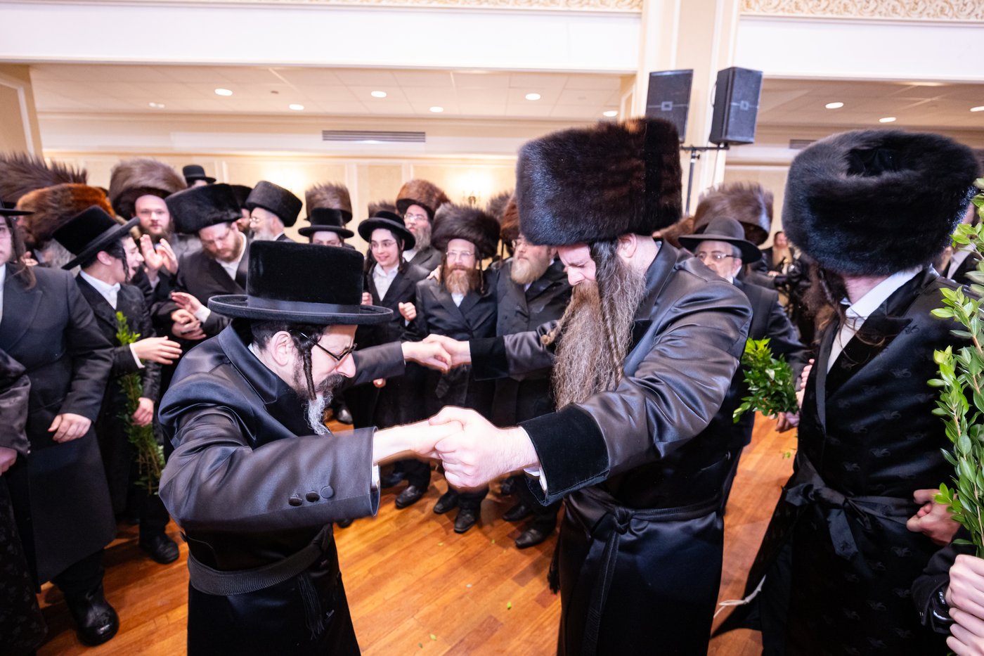 שמחת בית אמשינוב - סטרעטין - דראבהיטש