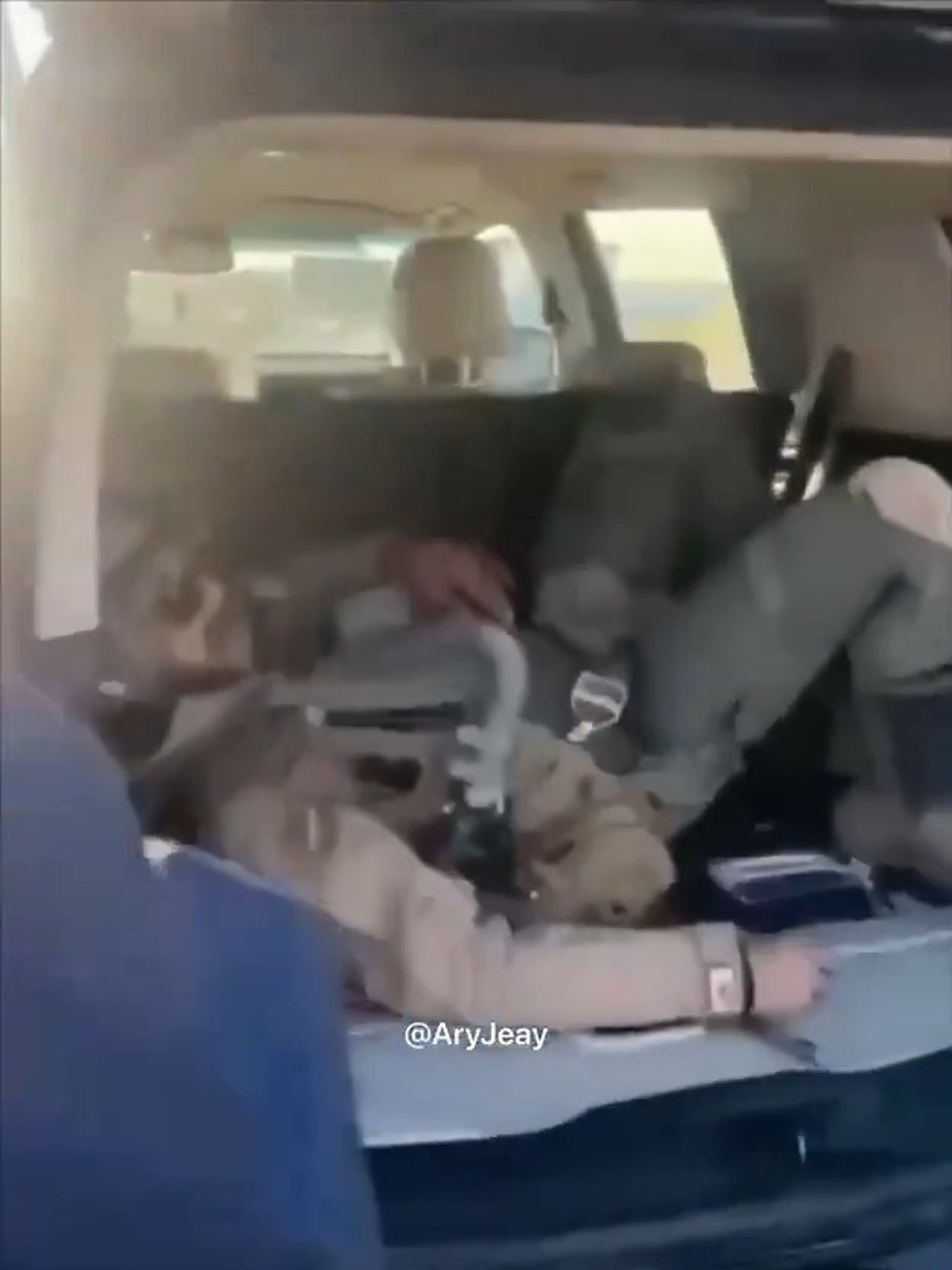 הטייס שמטוסו הופל