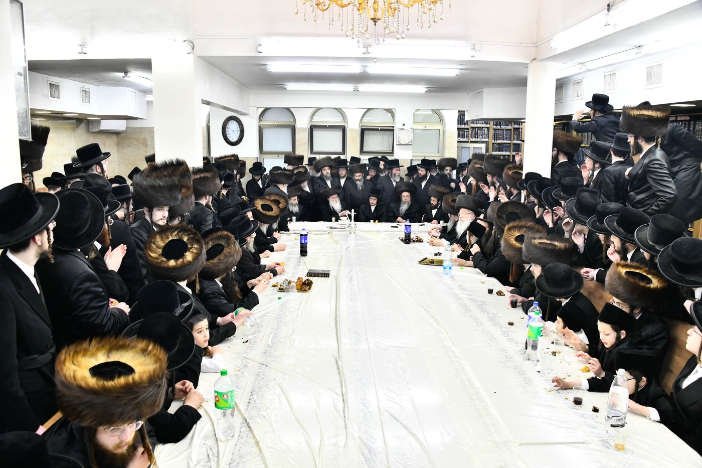 שמחת בית מכנובקא בעלזא - שבט הלוי - גורליץ