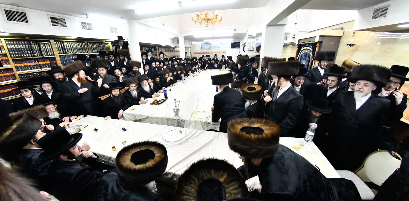 שמחת בית מכנובקא בעלזא - שבט הלוי - גורליץ