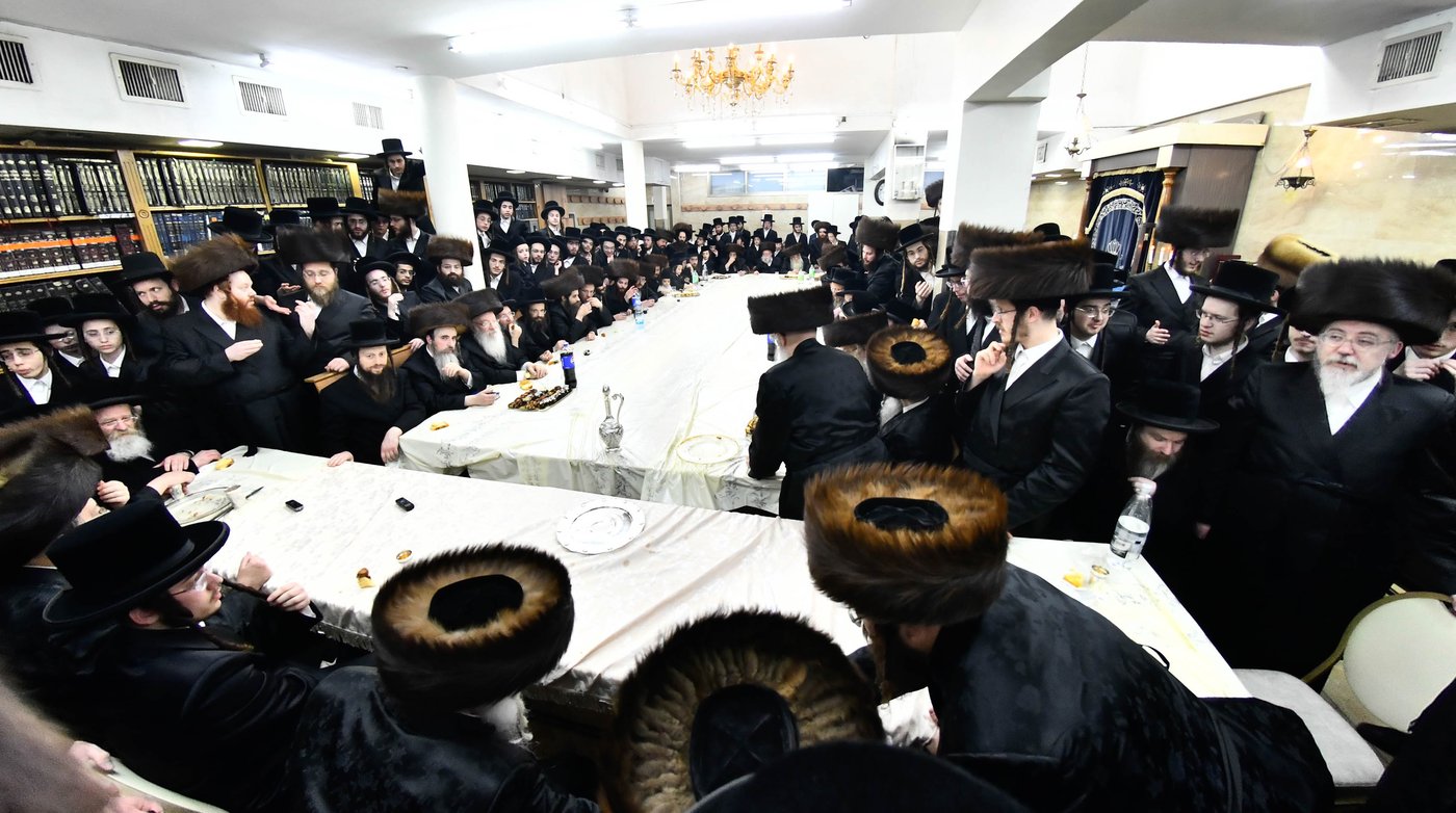 שמחת בית מכנובקא בעלזא - שבט הלוי - גורליץ