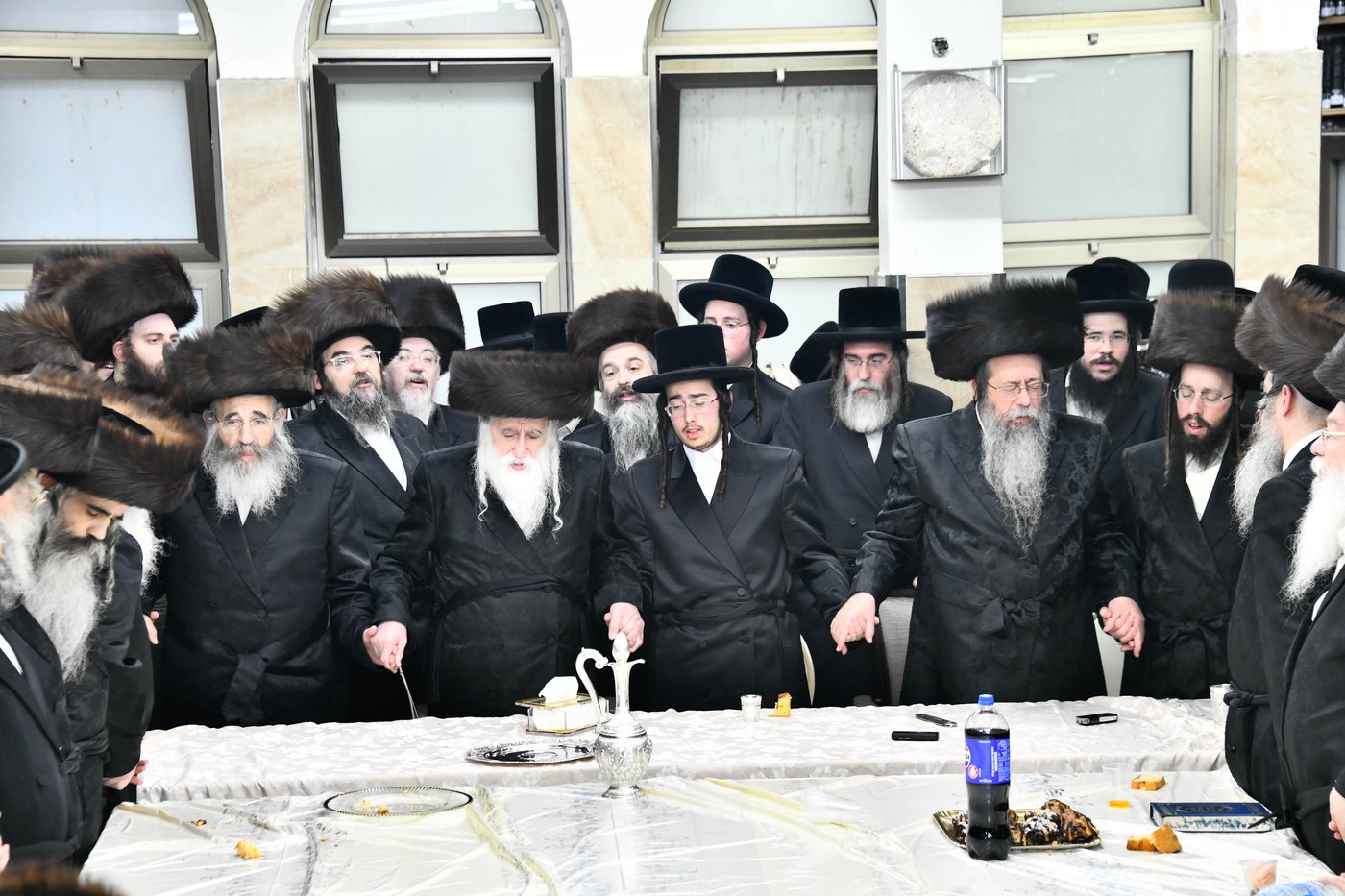 שמחת בית מכנובקא בעלזא - שבט הלוי - גורליץ