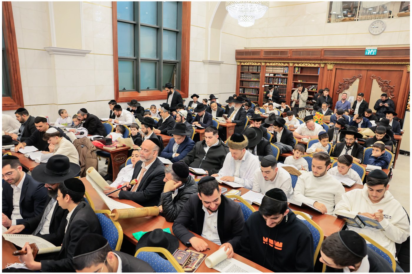 הגאון הרב יגאל כהן בקריאת המגילה