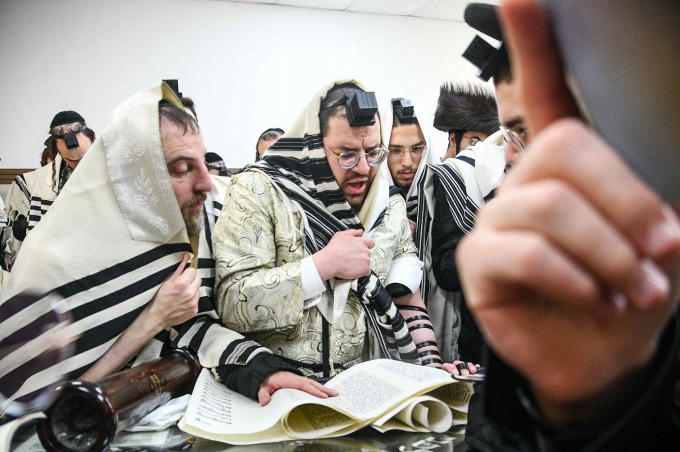 אריה ארליך בקריאת המגילה